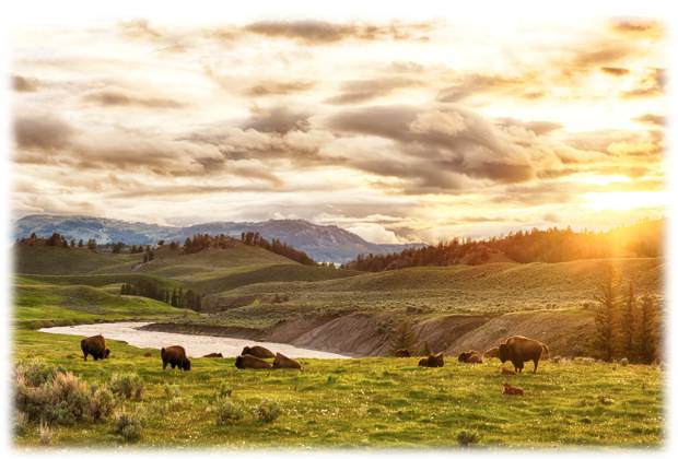 Wyoming
