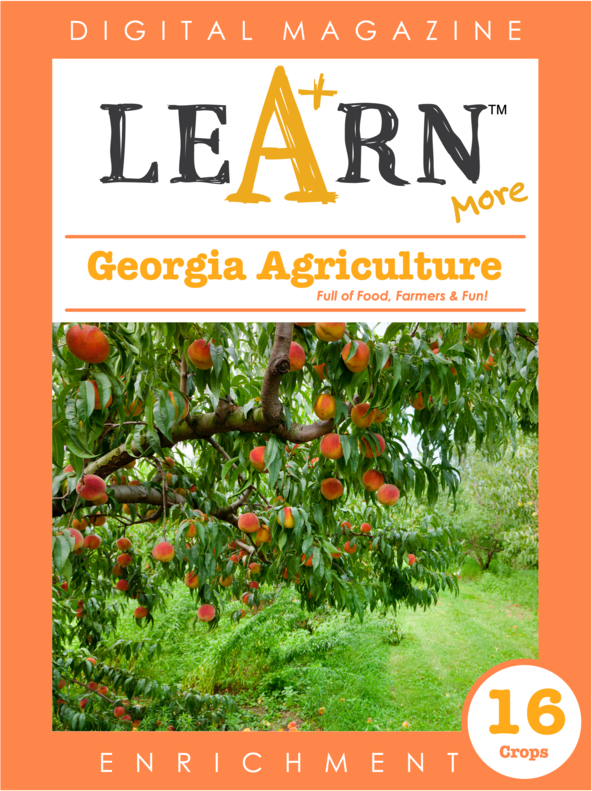 Georgia Agriculture