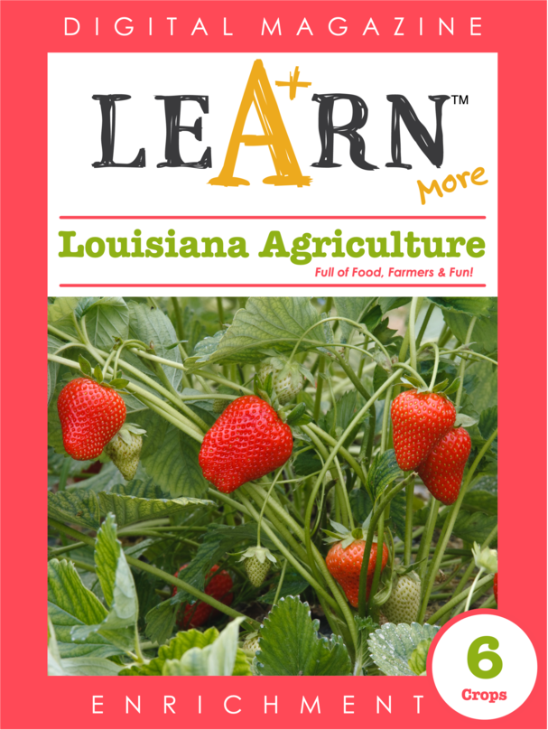 Louisiana Agriculture