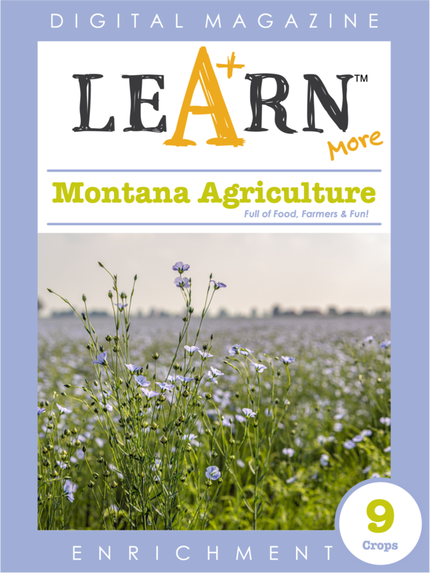 Montana Agriculture
