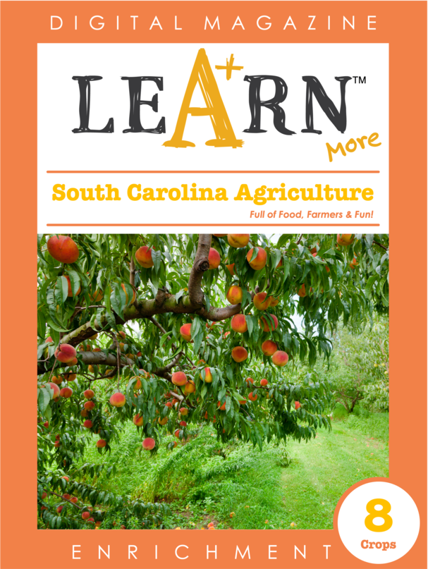 South Carolina Agriculture
