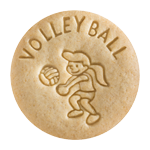 Volley Ball sm
